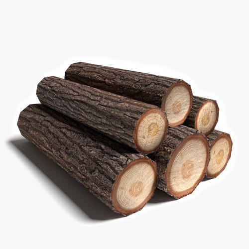 Jungle Wood Logs