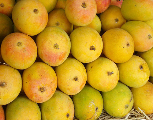 Common Fresh Hapus Mango, for Direct Consumption, Juice Making, Feature : Healthy, Non Pesticide