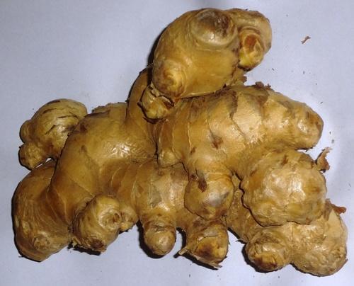 Common Raw Ginger