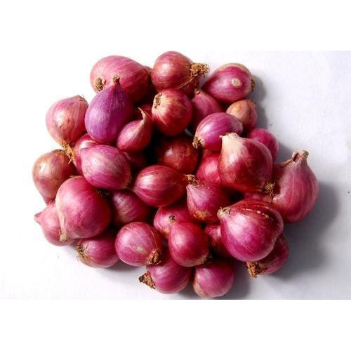Common Small Onion
