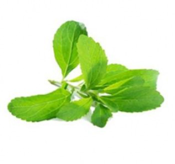Stevia extract functional sweetener