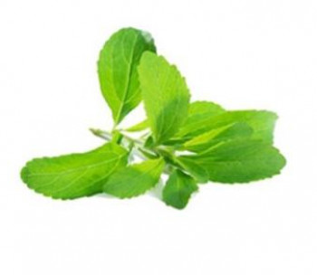 Stevia extract obvious advantages