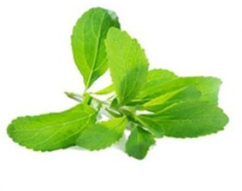 stevia extract popular sweetener