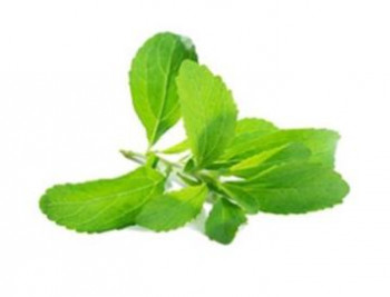 stevia extract raw material rest assured