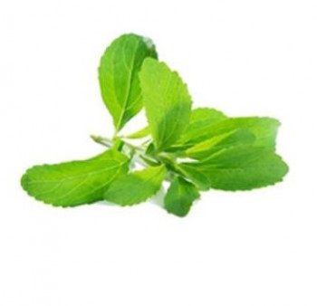 Stevia extract source of health