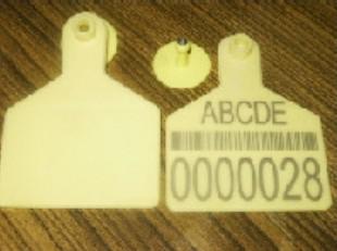 Polyurethane RFID Animal Ear Tag, for Card, Feature : Fine Finish, High Strength