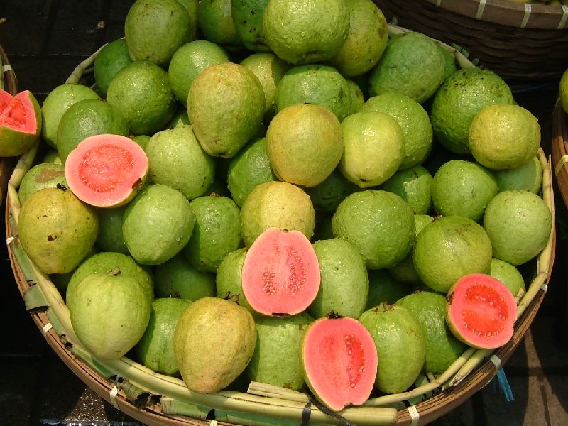 Organic Fresh Guava, Packaging Size : 25-50 Kg