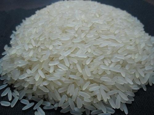 Hard Organic Sugandha Non Basmati Rice, for Gluten Free, High In Protein, Variety : Medium Grain