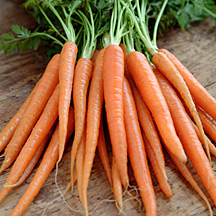 Organic Fresh Carrots, for Food, Juice, Pickle, Snacks, Packaging Type : Jute Sack