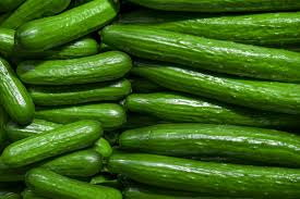 Fresh Cucumber,fresh cucumber, Packaging Type : Plastic Bag