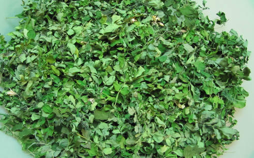 Organic Pure Dried Moringa Leaves, for Cosmetics, Medicine, Color : Green