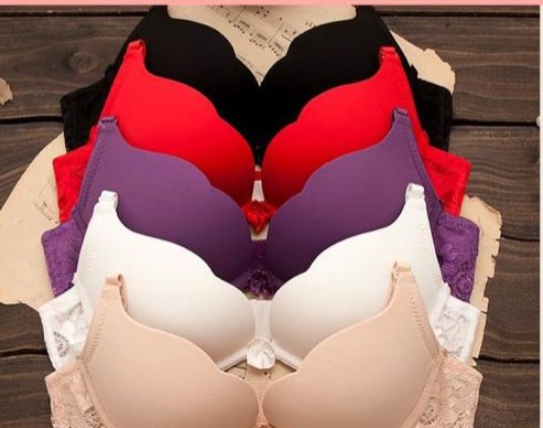 Daily Wear Bra at Rs 95/piece, in Ahmedabad