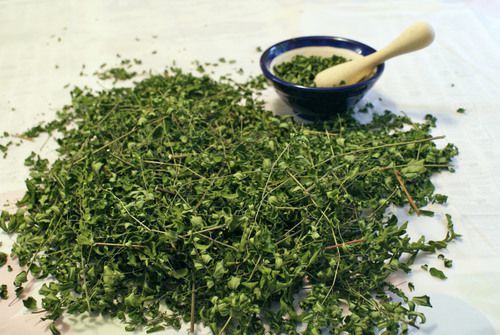 Organic Dried Moringa Leaves, for Cosmetics, Medicine, Feature : Good Quality, Highly Effective