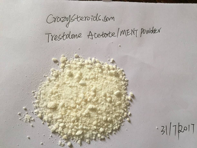 Trestolone Acetate powder