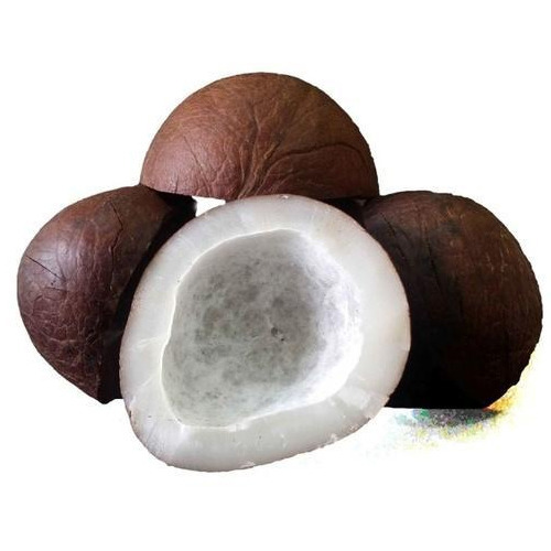 Organic dry coconut, Packaging Type : Jute Bags