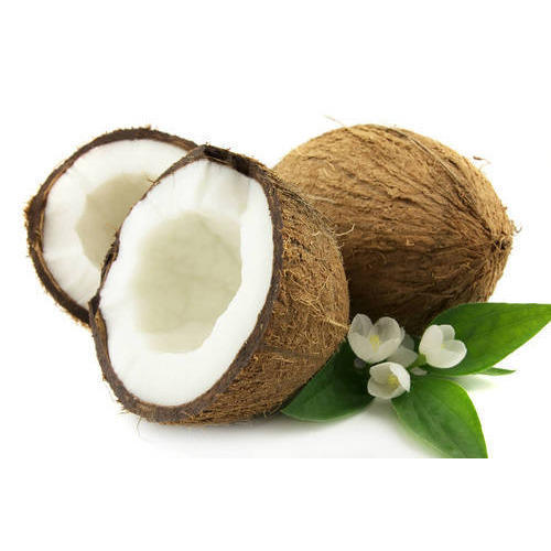 Common Fresh Coconut