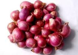 Organic Fresh Sambar Onion, for Cooking, Packaging Size : 10kg, 25kg