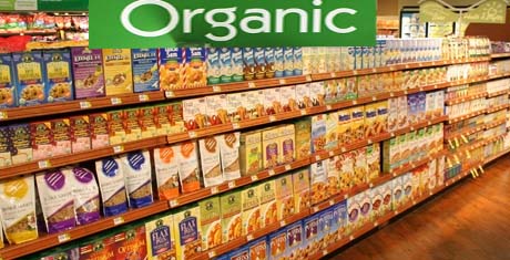 Organic Grocery Products Franchise Store