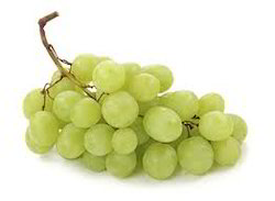 Organic Fresh Green Grapes, Packaging Type : Wooden Box