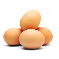 chicken egg