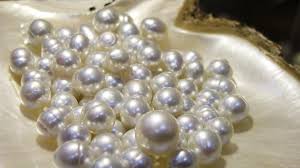  Non Polished Pearl, Packaging Type : Paper Box , Plastic Box,  Velvet Box , Wooden Box