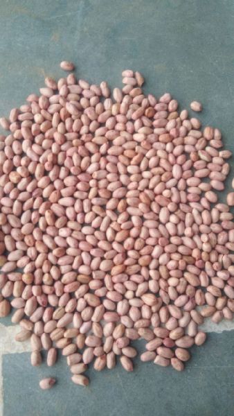 Organic Brown Peanut Kernels, for Making Oil, Style : Dried