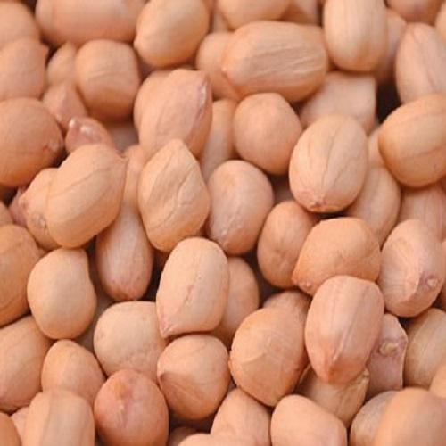 Organic Java Peanut Kernels, for Making Oil, Style : Natural