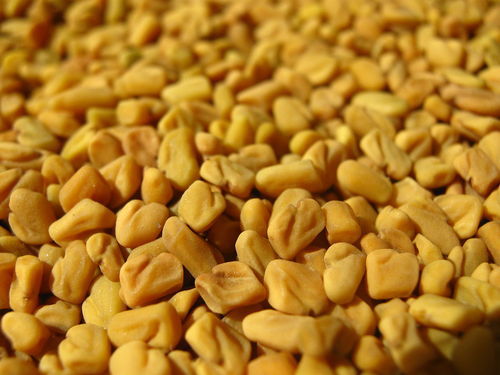 Organic Raw Fenugreek Seeds, Color : Brown