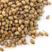 Common Coriander Seed, for Agriculture, Cooking, Food, Medicinal, Packaging Type : Jute Bags, Plastic Packets