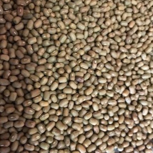 Organic Moth Beans, Color : Brown