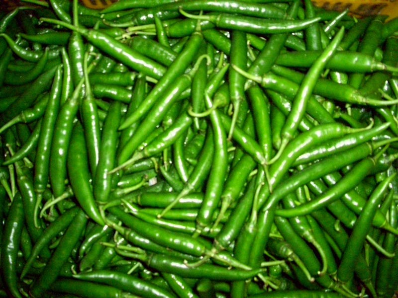 Common Fresh Green Chilli, Packaging Type : Pp Bag