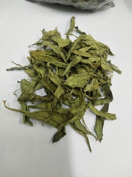 Organic Stevia Dry Leaves
