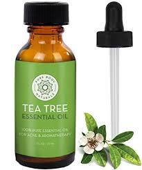 Tea Tree Oil, for Cosmetics, External, Form : Liquid