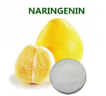 Herbo Nutra Naringin Powder