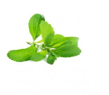 Stevia extract high application value