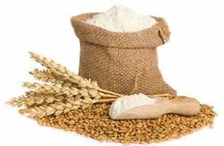 Organic wheat flour, Feature : High In Protein