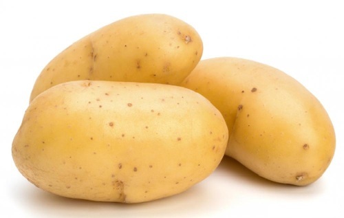 Organic Fresh Big Potato, Packaging Size : 100-500kg