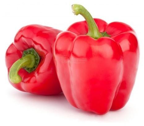 Fresh Red Capsicum, Packaging Size : 100-500kg