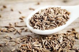 Dried Cumin Seeds, Packaging Size : 10-100kg
