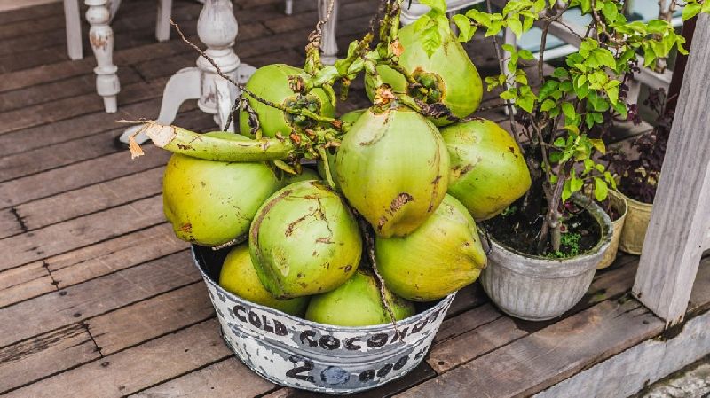 Tender coconut, Color : Green