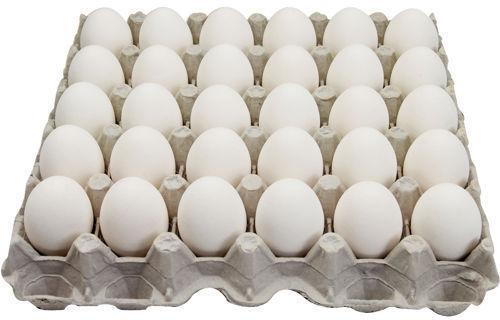 White Chicken Eggs