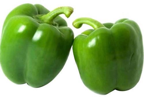 Fresh Green Capsicum, Packaging Type : Plastic Bag