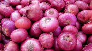 Organic fresh red onion, Packaging Type : Net Bags, Plastic Bags