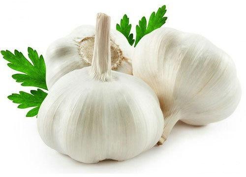 Organic Garlic, Packaging Type : Plastic Packet