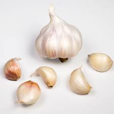 Raw Garlic, Packaging Type : Plastic Packet