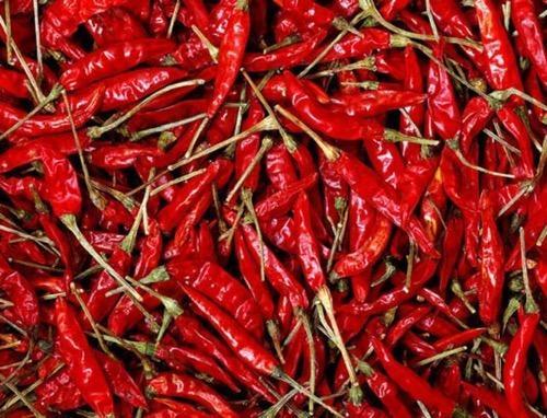 Dried Red Chilli, Packaging Type : Gunny Bags