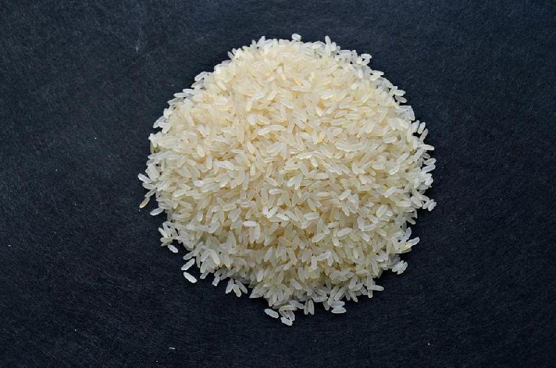 Sona Masoori Raw Non Basmati Rice, Feature : Hygienic Packing, Good For Health