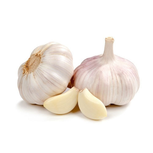 fresh garlic