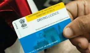 Driving Licence Services