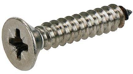 SS Self Tapping Screws